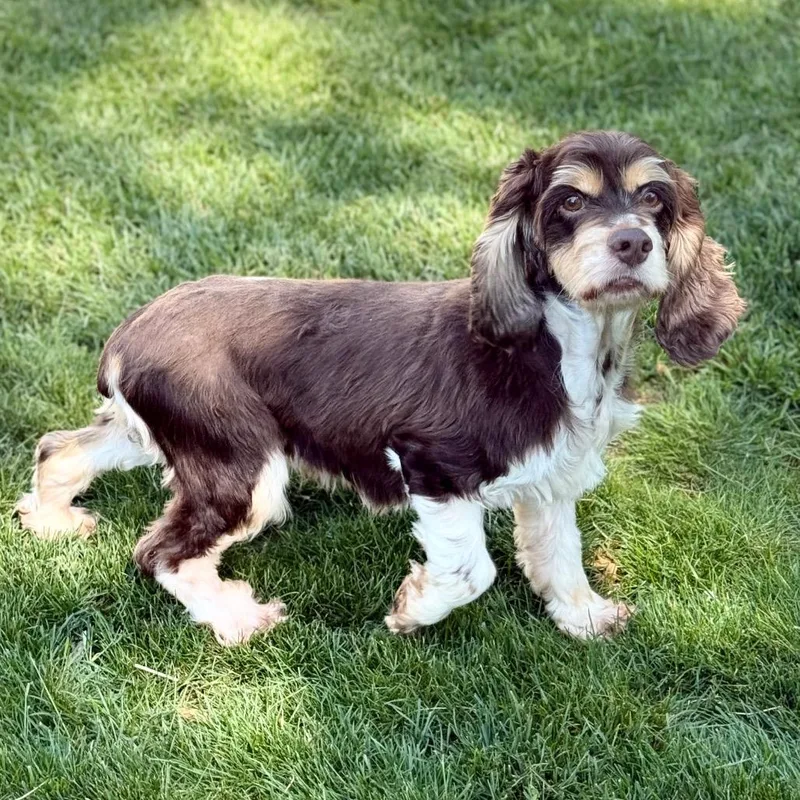 Lucy Lou