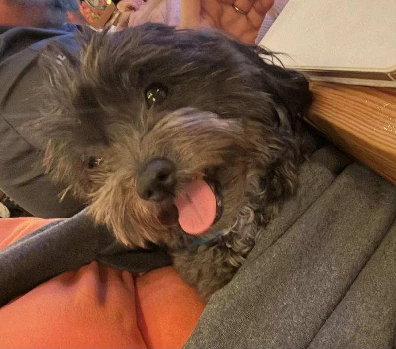 Kirby thumbnail 3