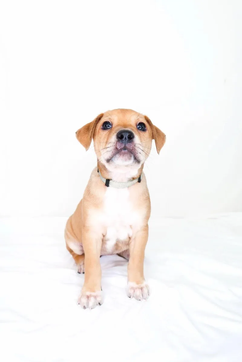 Patsy Cline thumbnail 4