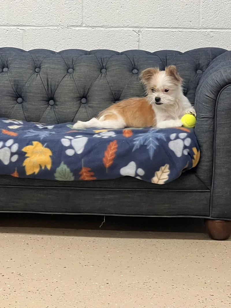 Maggie thumbnail 3