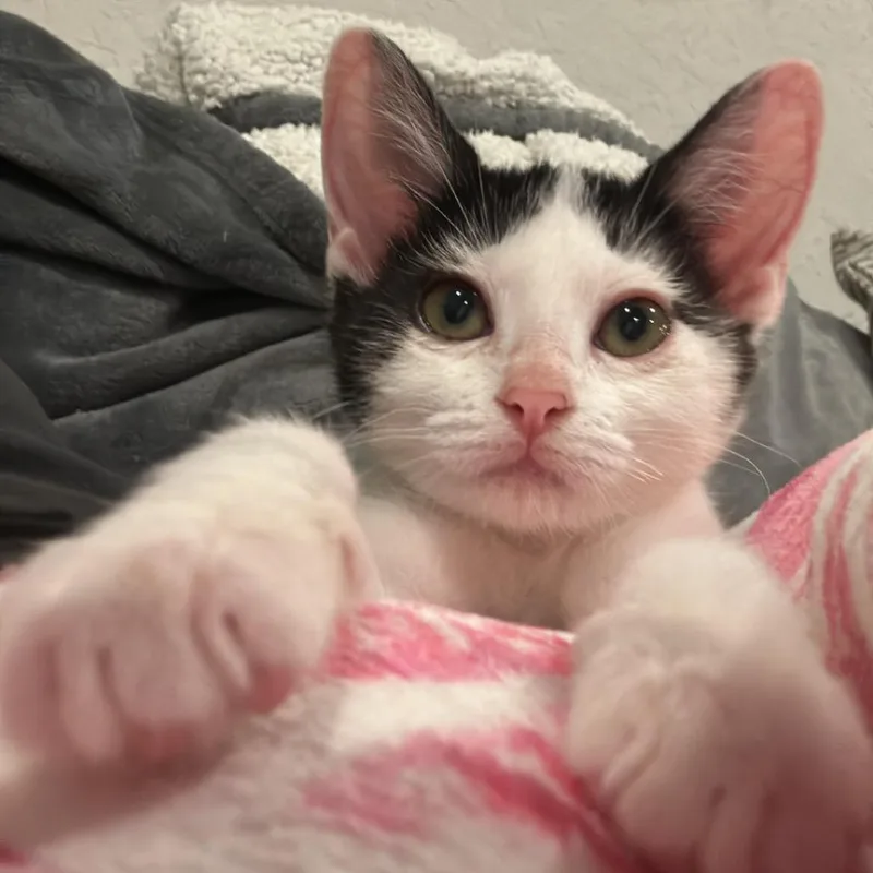 Tina Tuna thumbnail 2