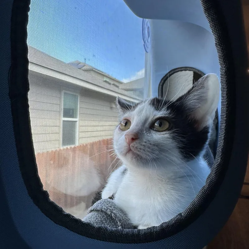 Tina Tuna thumbnail 4
