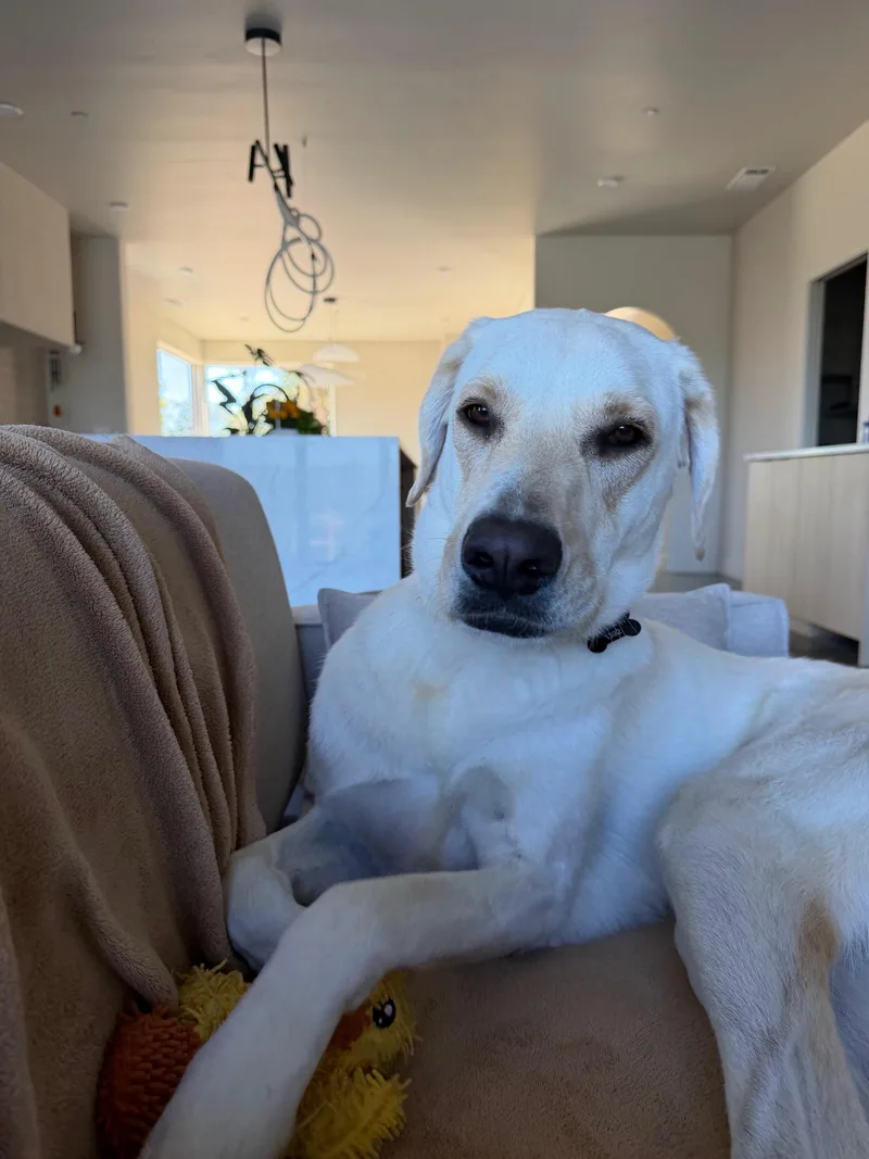 Sadie thumbnail 5