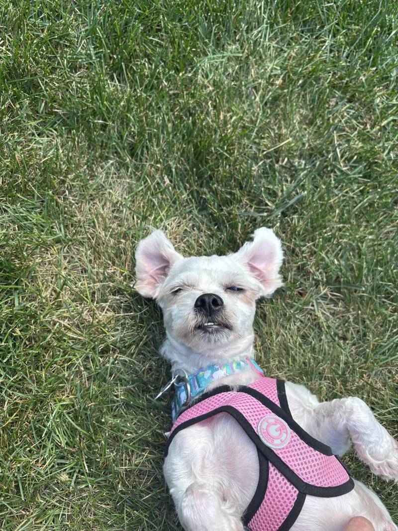 Lexi thumbnail 3