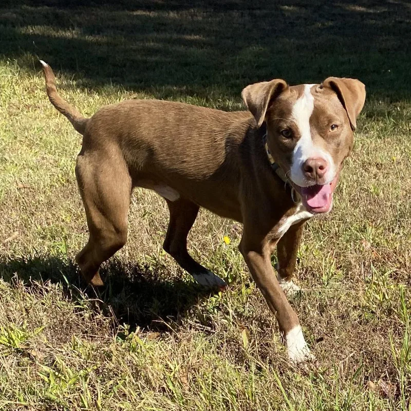 Herb Ertlinger thumbnail 2