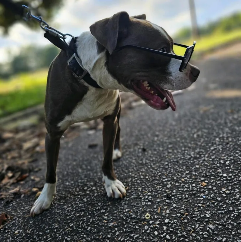 Herb Ertlinger thumbnail 3