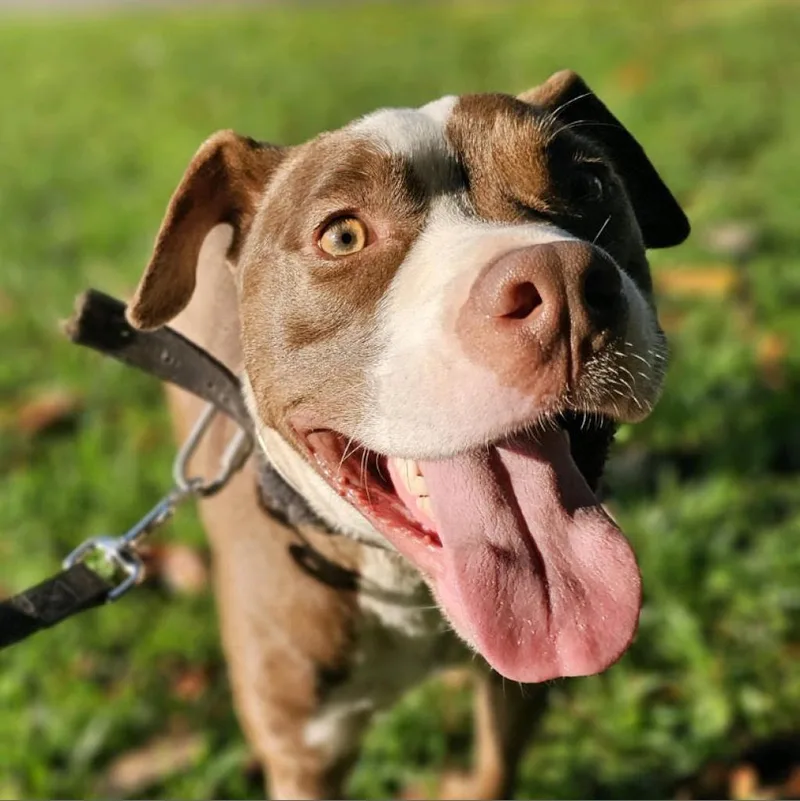 Herb Ertlinger thumbnail 4