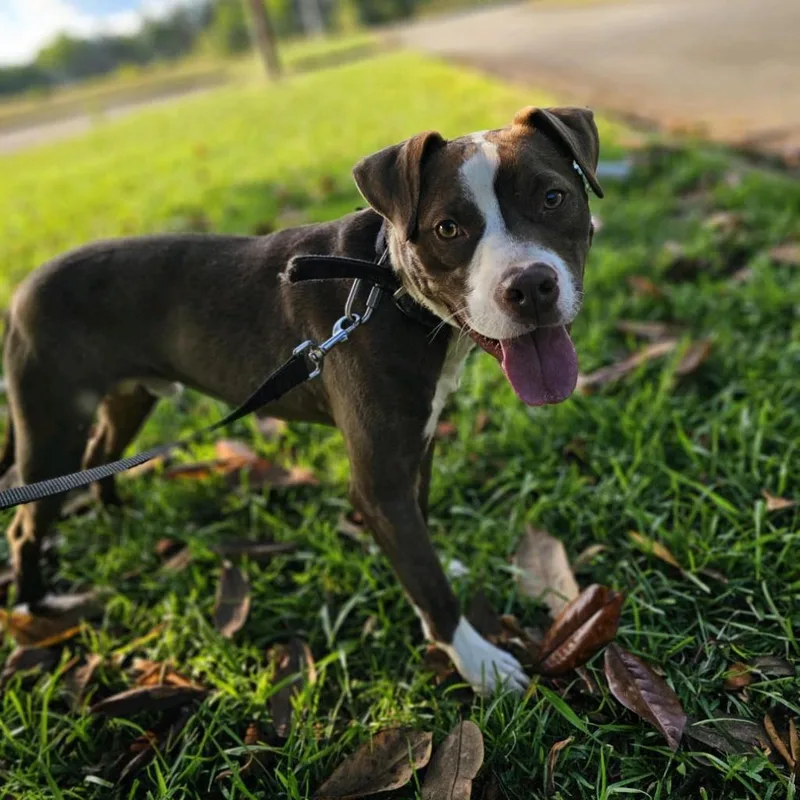 Herb Ertlinger thumbnail 5