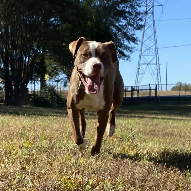 Herb Ertlinger thumbnail 6