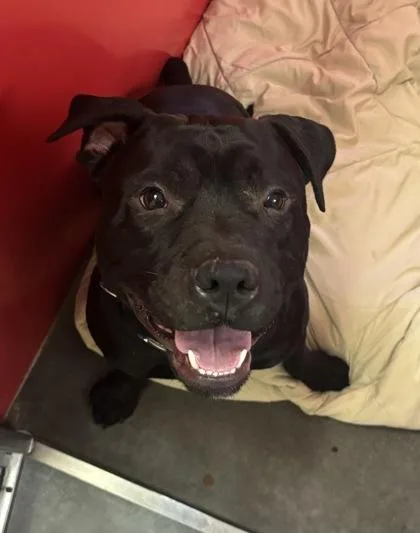 Zuko