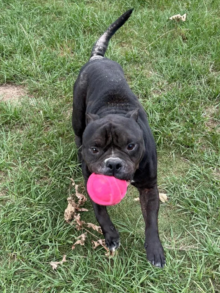 Floyd