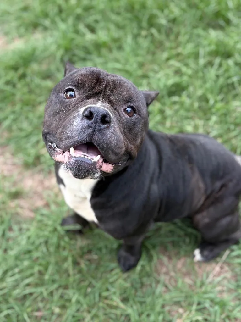 Floyd thumbnail 3