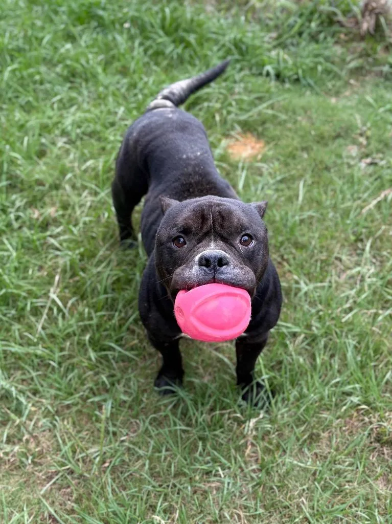 Floyd thumbnail 4