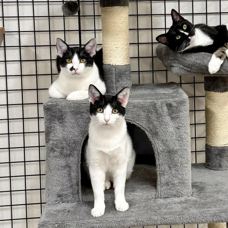 Carol And Hubert thumbnail 2