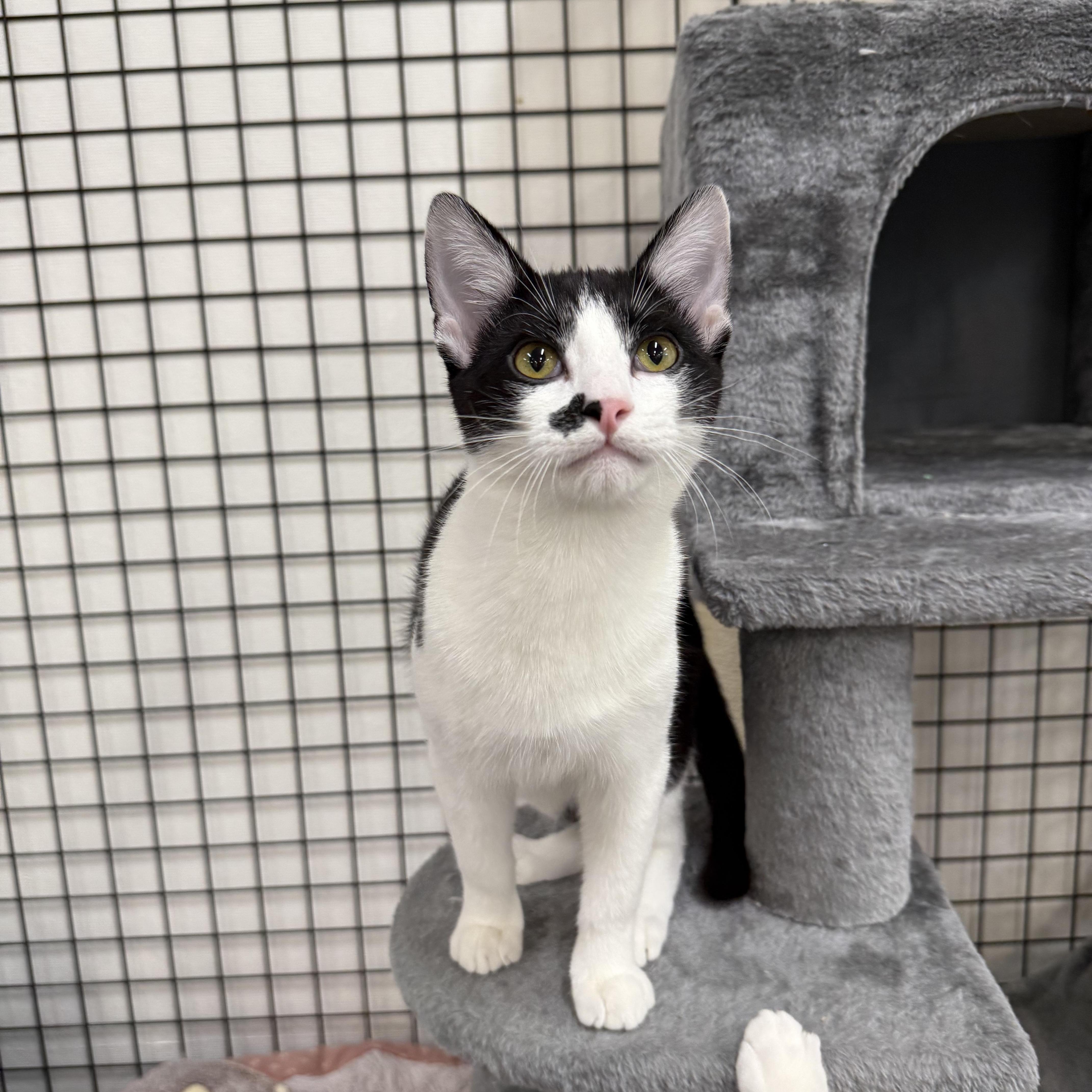 Carol And Hubert thumbnail 4