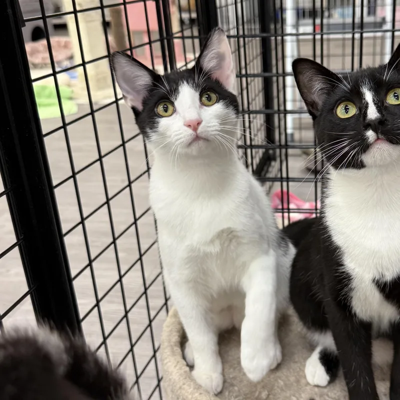 Carol And Hubert thumbnail 5