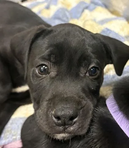 Kristoff thumbnail 2