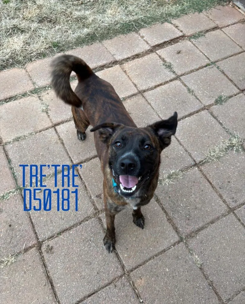 Tre`tre` thumbnail 2