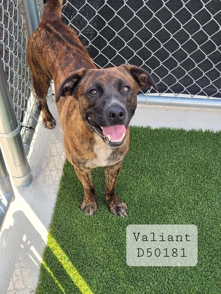 Tre`tre` thumbnail 3