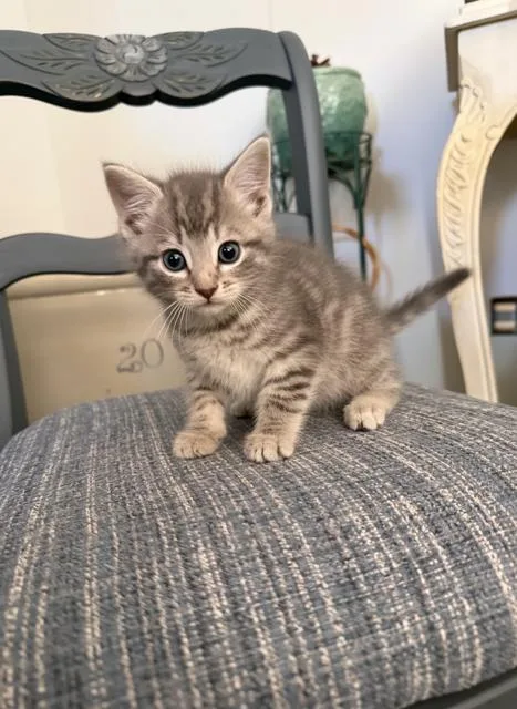 Tinker