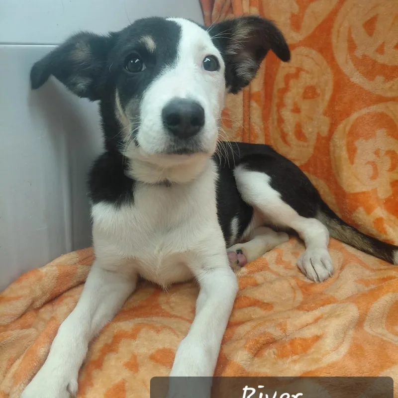 River