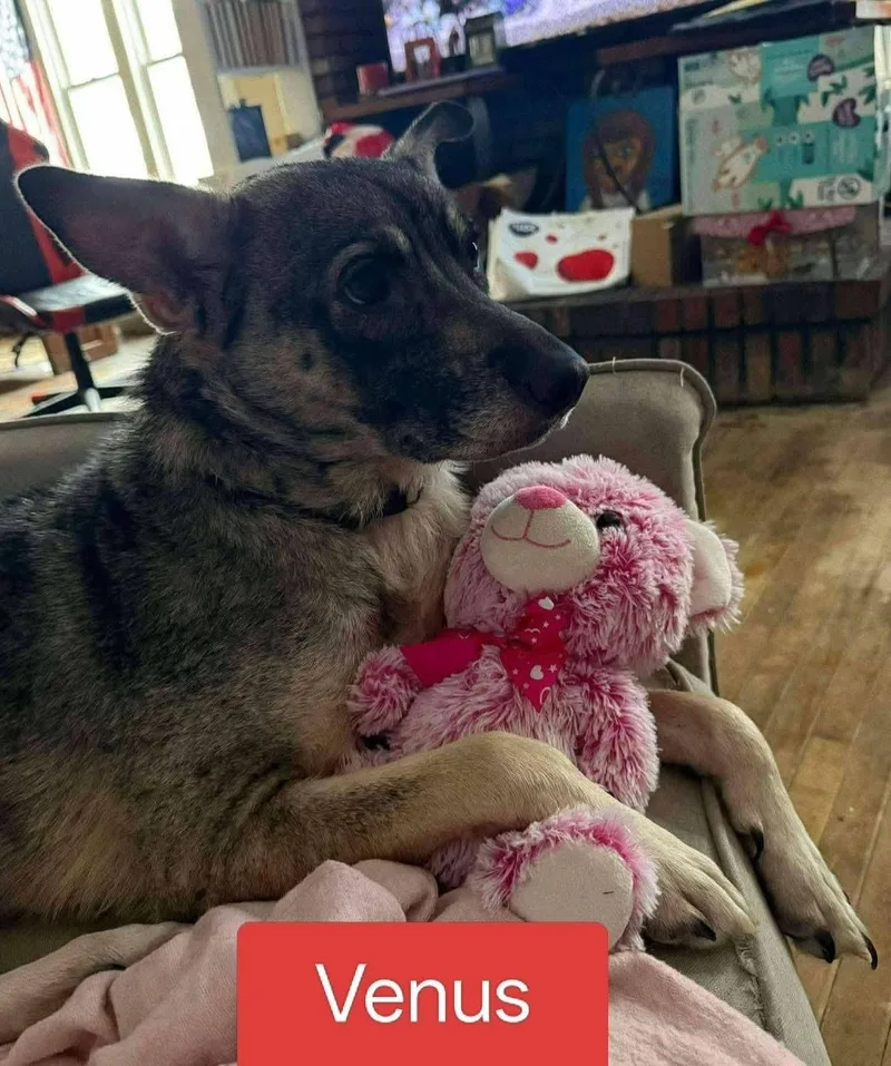 Thor & Venus thumbnail 3