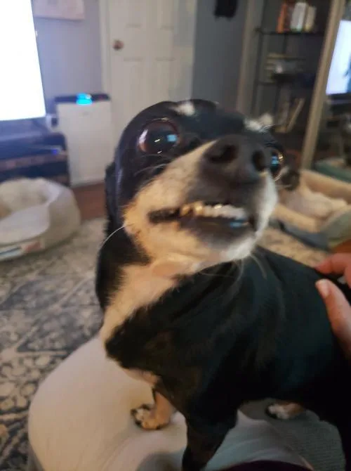 Pearl Sky thumbnail 4