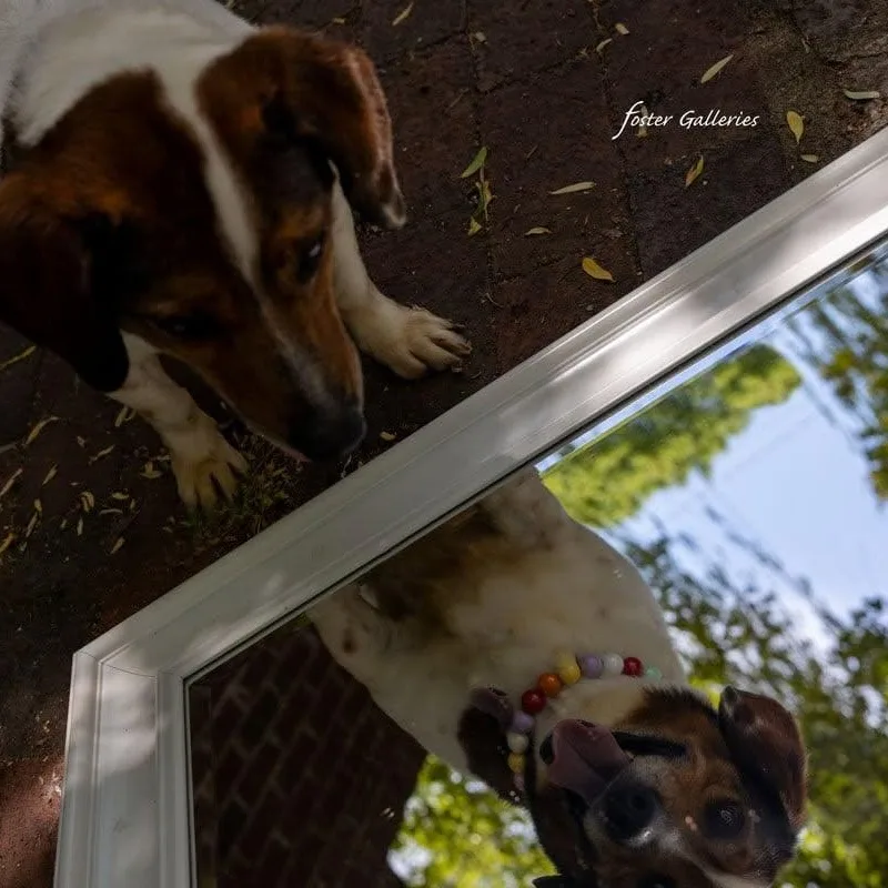 Tilly thumbnail 4