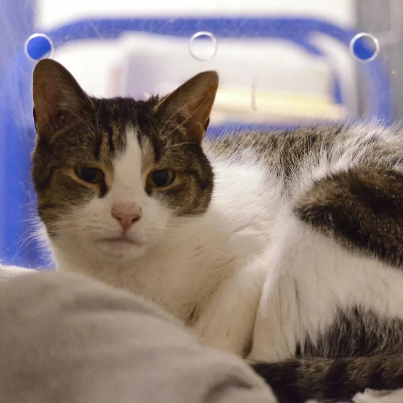 Samantha thumbnail 2