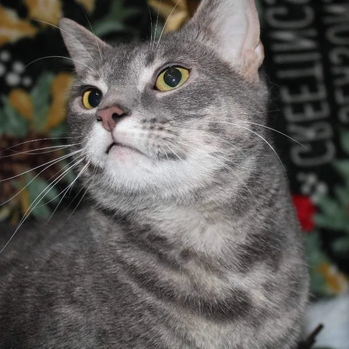 Erin And Erica thumbnail 2