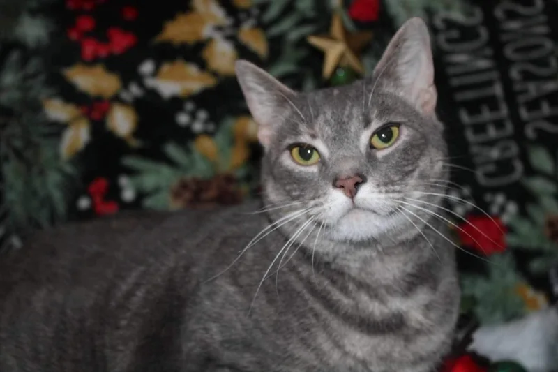 Erin And Erica thumbnail 3