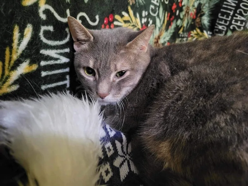 Erin And Erica thumbnail 4