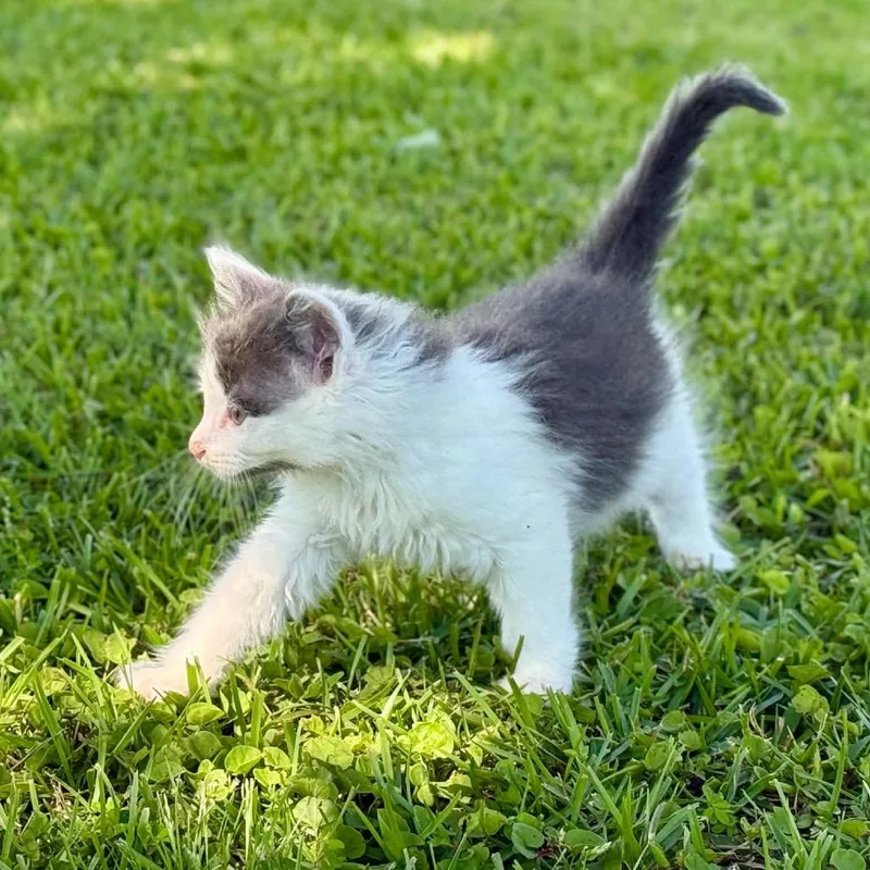 Cat Benetar thumbnail 2