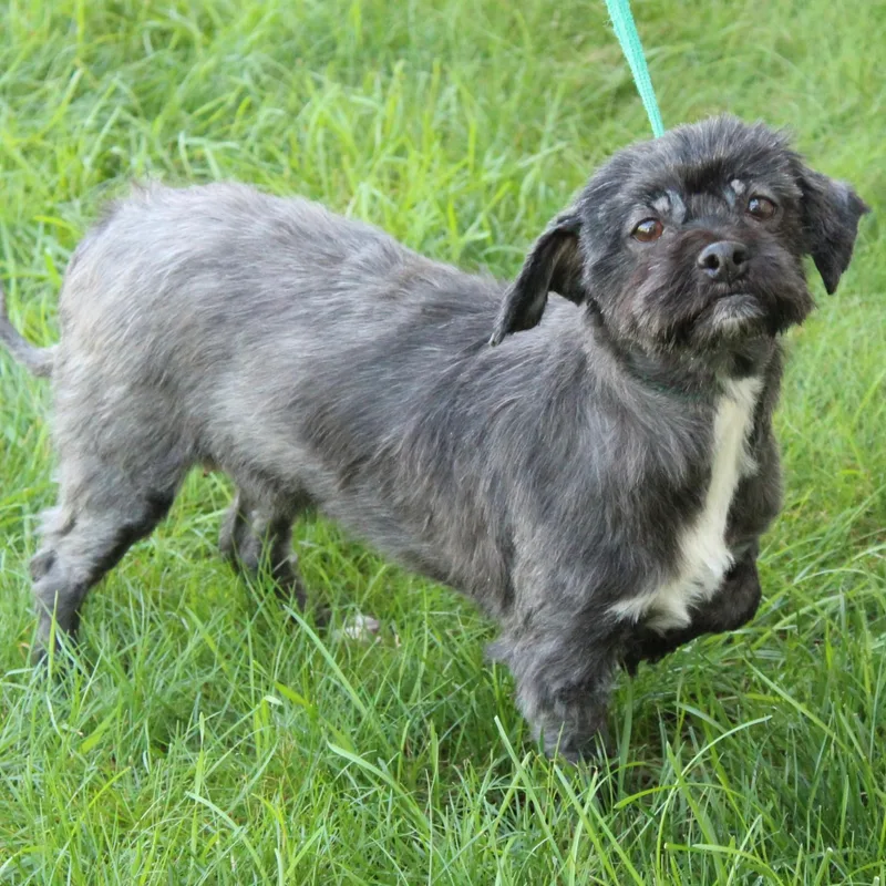 Matilda thumbnail 6