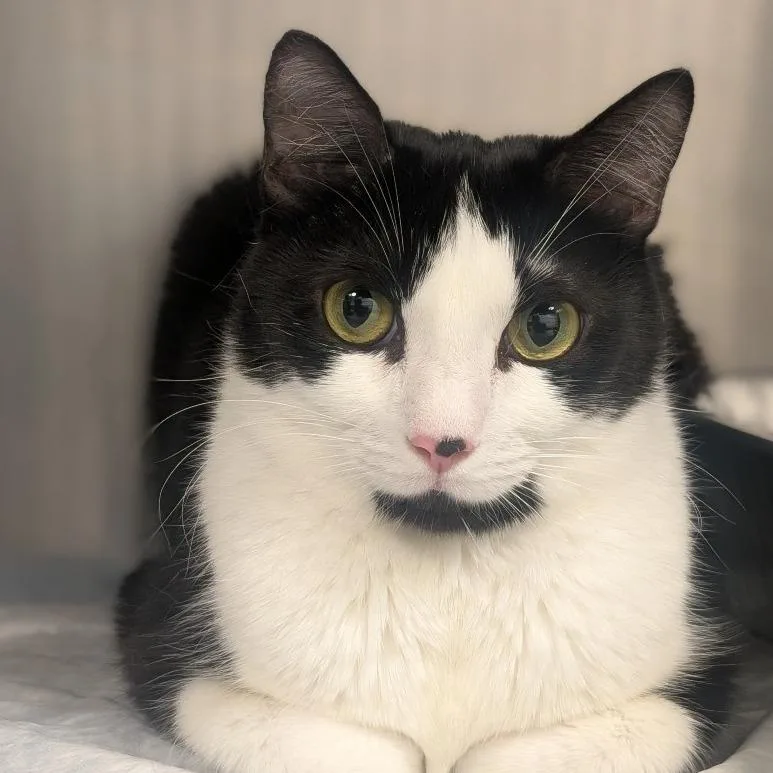 Lilly Mae thumbnail 2