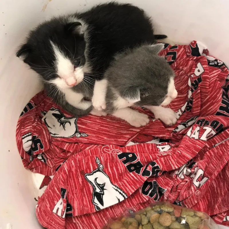 Lilly Mae thumbnail 3