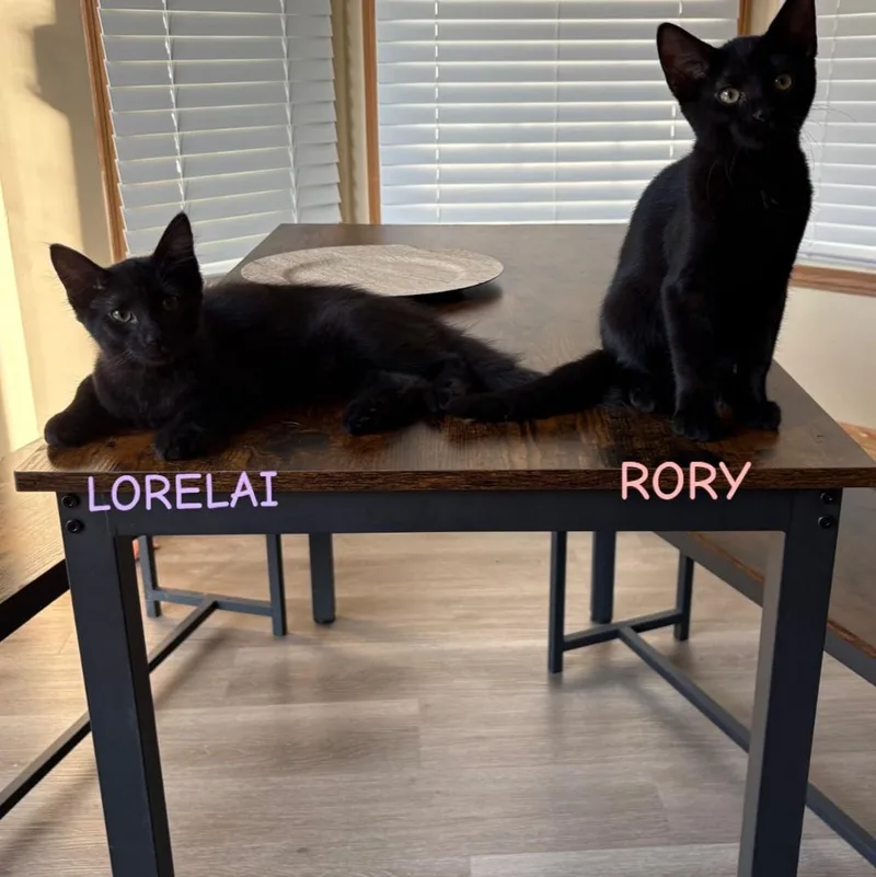 Lorelai Best friends with thumbnail 2