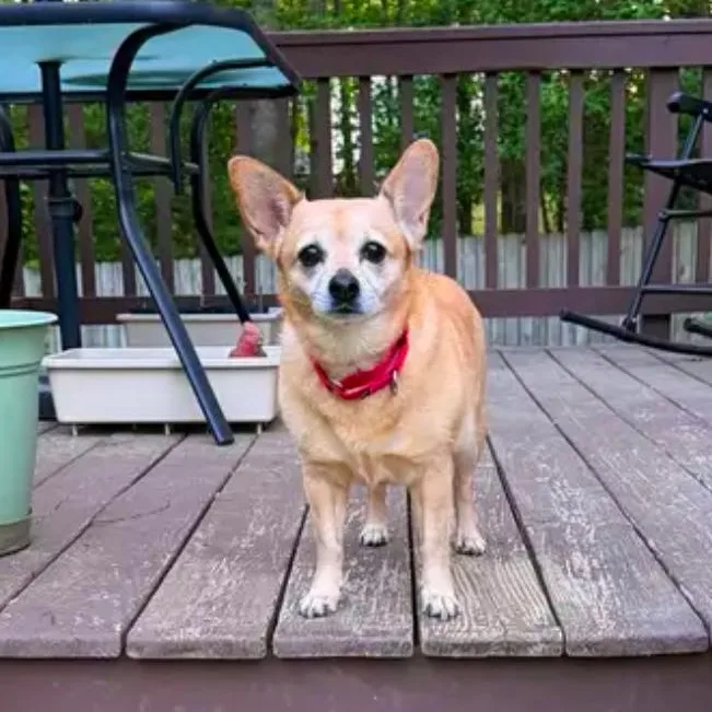 Hailey thumbnail 4
