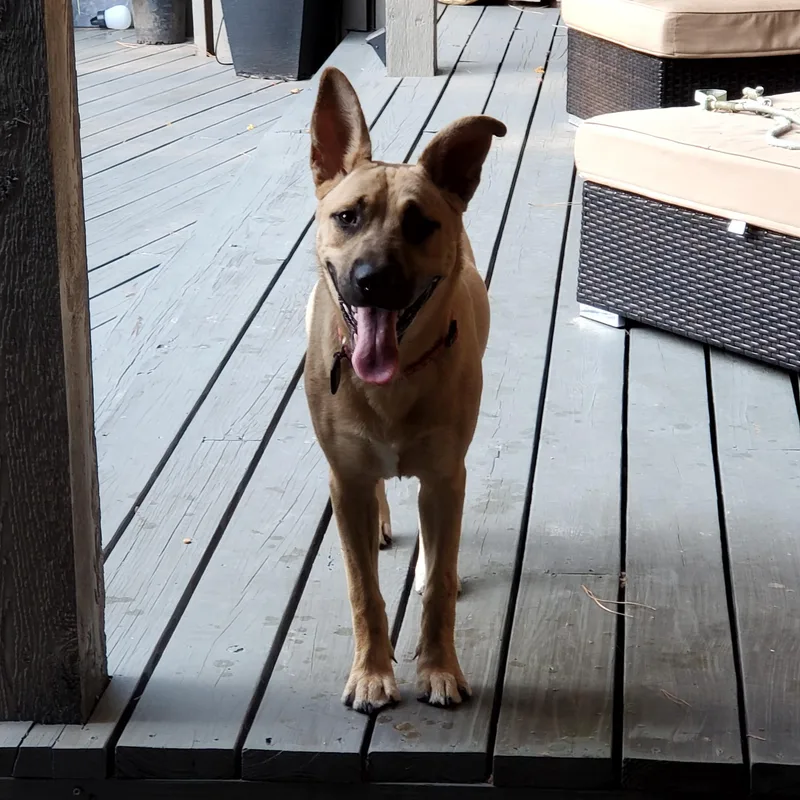 Franke Gdp thumbnail 2