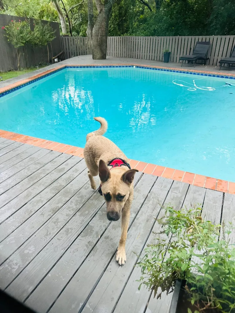 Franke Gdp thumbnail 3