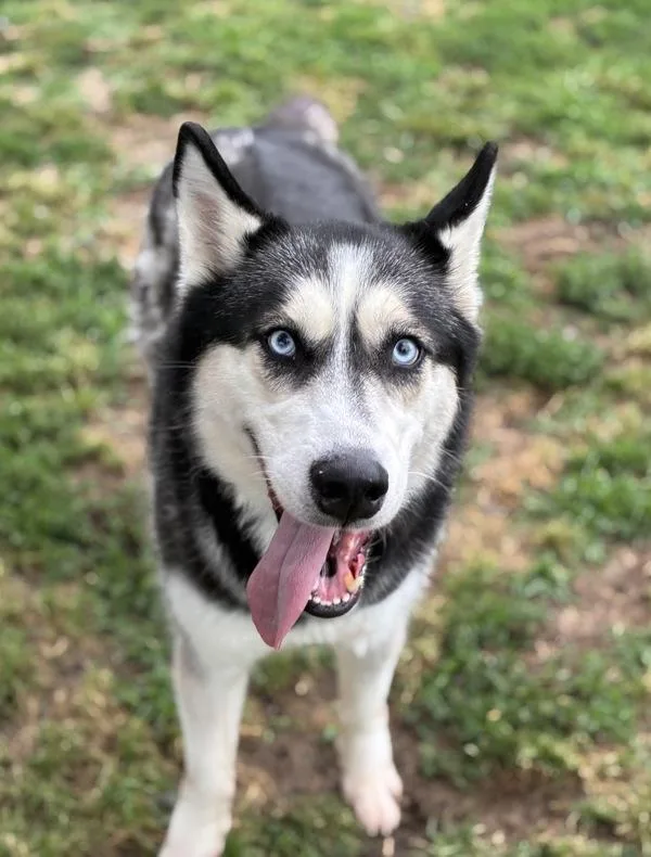 Zeus
