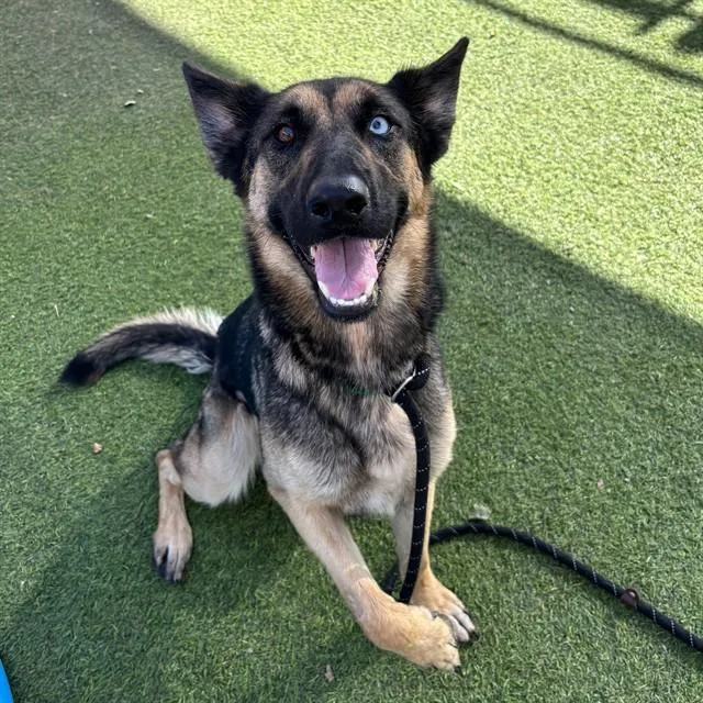 Sapphire