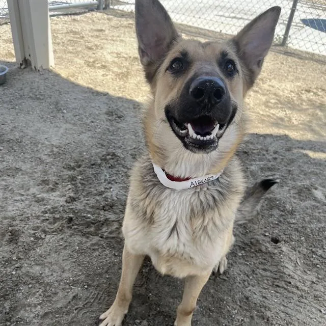 Luna