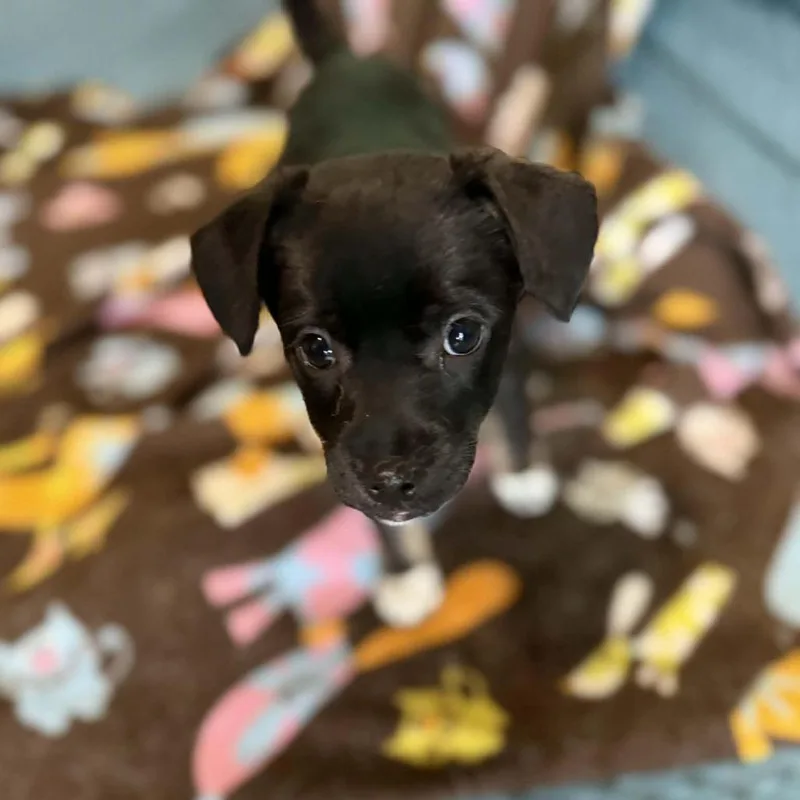 Sullivan D Arriving thumbnail 5