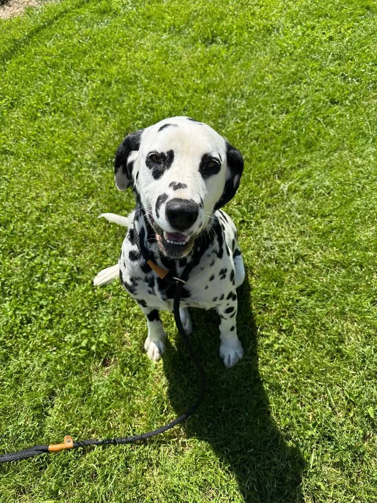 Max