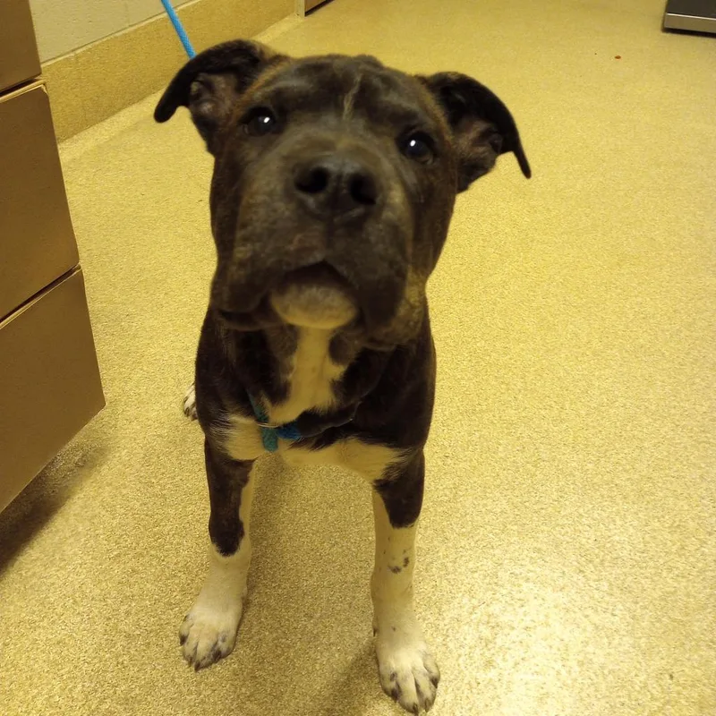 Loki thumbnail 2