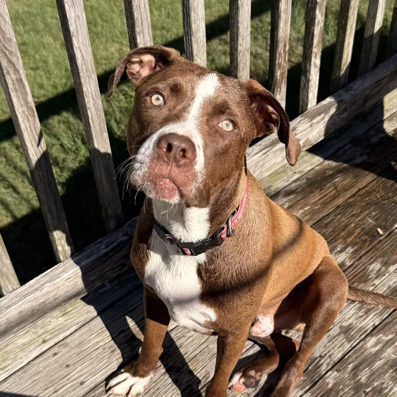 Jimmy thumbnail 5