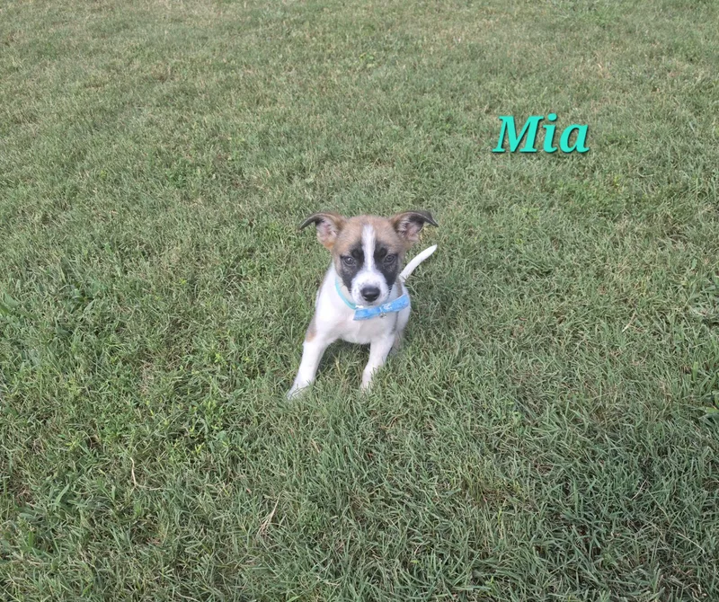 Mia Mars thumbnail 2