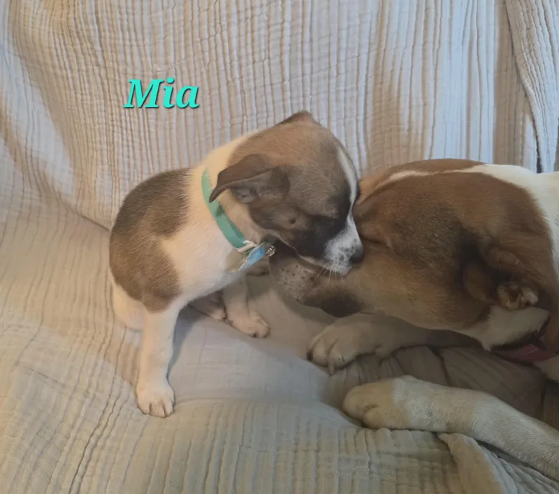 Mia Mars thumbnail 5