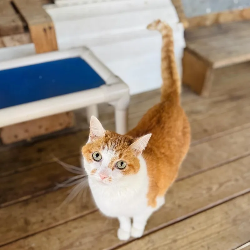 Mr. Terry thumbnail 2